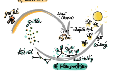 Cái tên Đom Đóm và mong muốn nhấp nháy cùng nhau